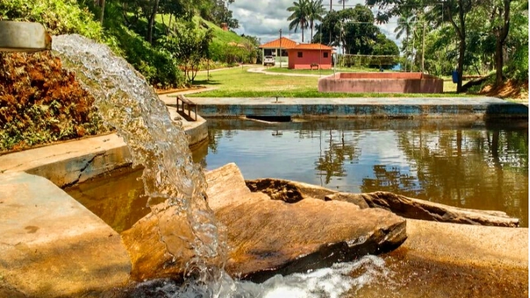 Trilha Kids em Ipoema: Cachoeira Patroc&iacute;nio Amaro